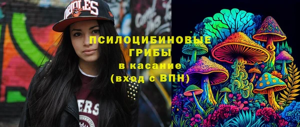 тгк Няндома