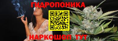 крисы Абинск