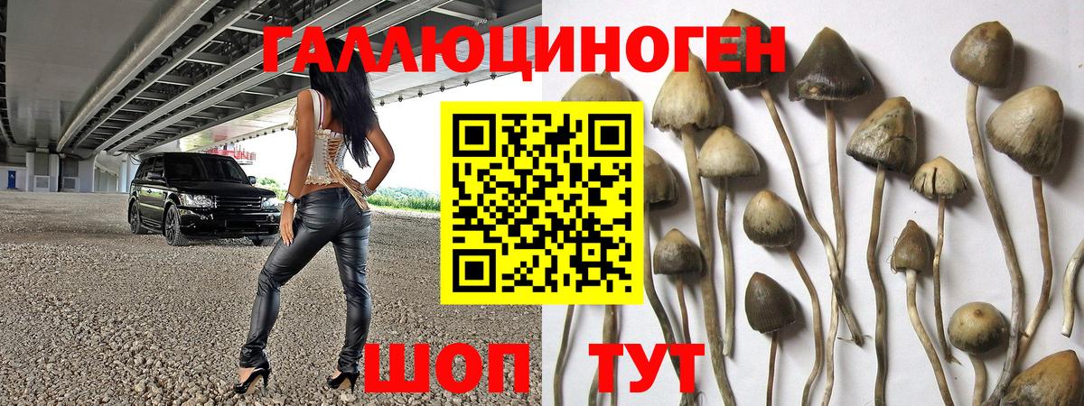 Галлюциногенные грибы ЛСД Анапа