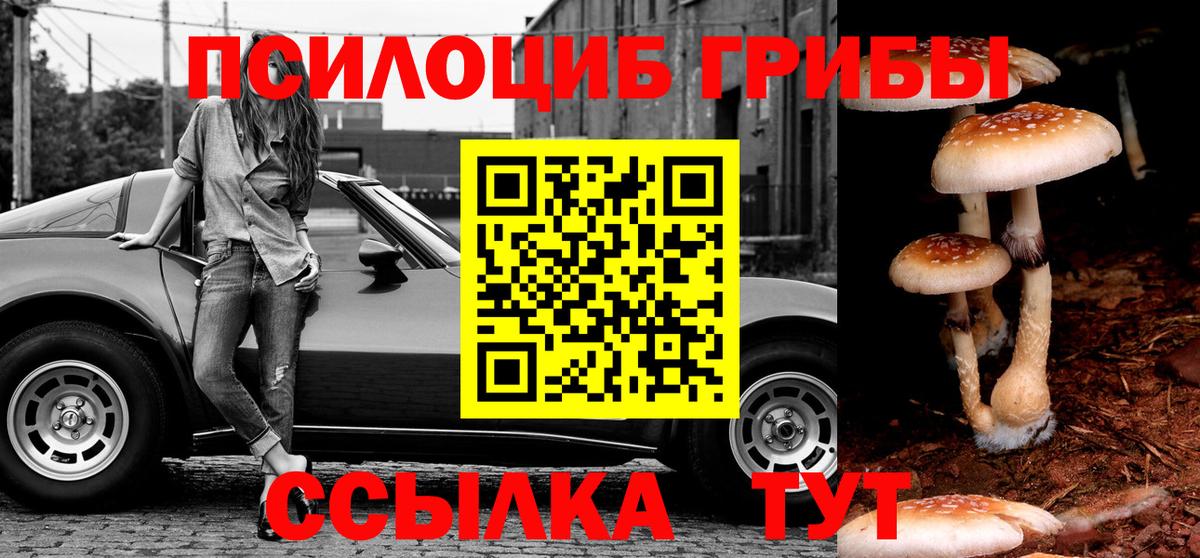 Галлюциногенные грибы прущие грибы Анапа