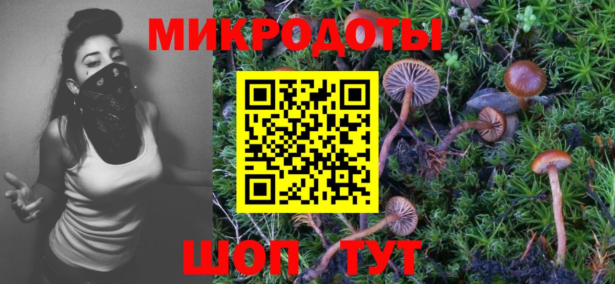 Анапа  Псилоцибиновые грибы Psilocybe  Вход с VPN 